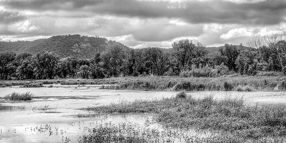 Marsh B&W